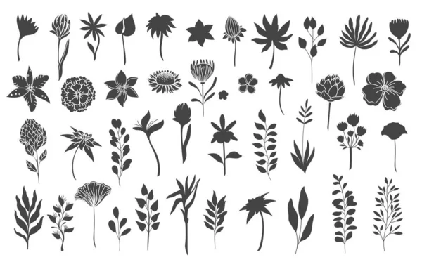 植物元素的轮廓 — 图库矢量图片