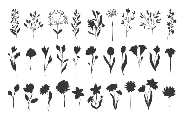 植物元素的轮廓 — 图库矢量图片