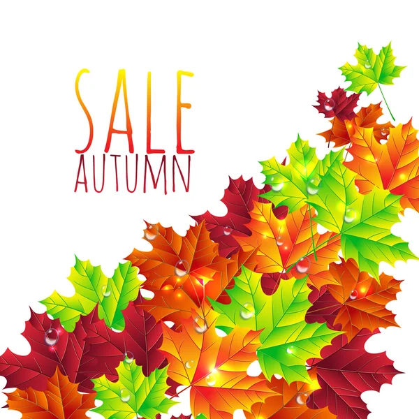 Autumn leaves background — Stock Vector