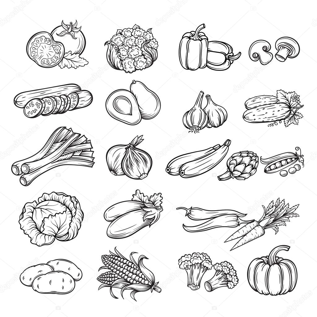  hand drawn vegetable