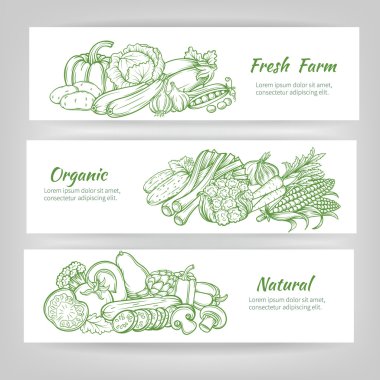 vektör şablon afiş ayarla 