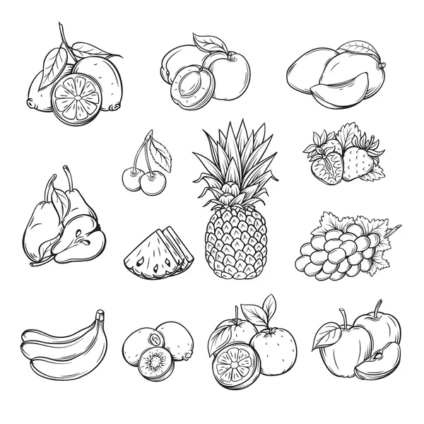 Vector set of different hand drawn fruit , Stock Vector