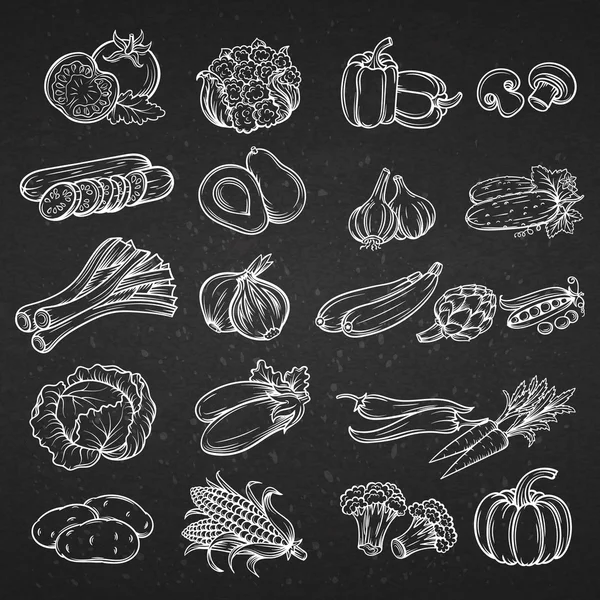 Conjunto vectorial de diferentes vegetales decorativos dibujados a mano  . — Vector de stock