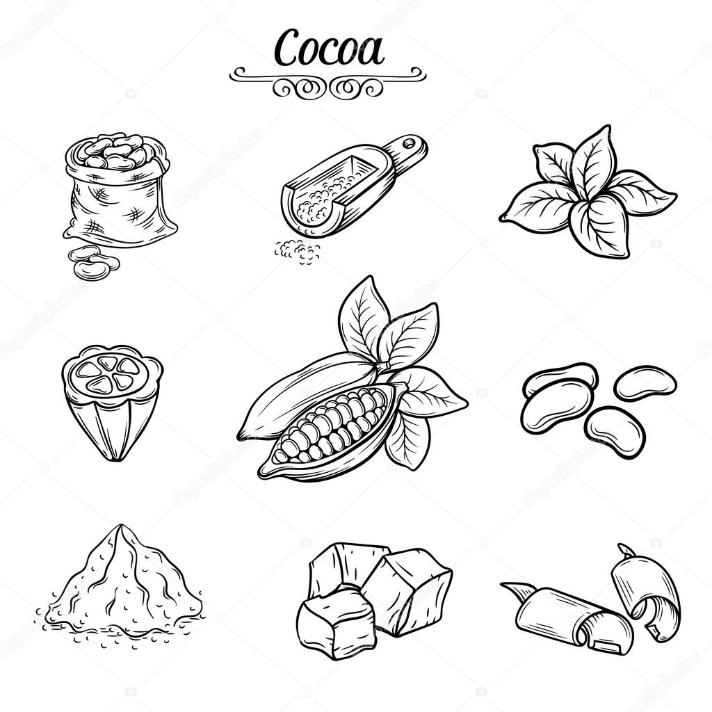 set decorative cocoa chocolate