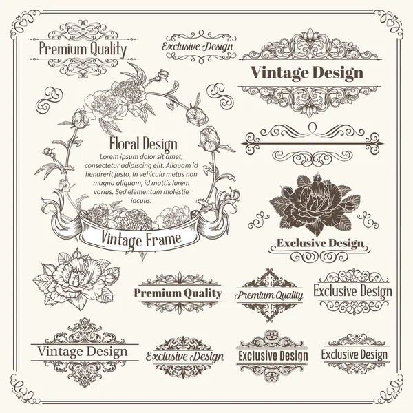 Vintage Vector Design Elements Collection. — Stock Vector