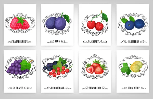 Fresh berries and calligraphic elements — Stock Vector