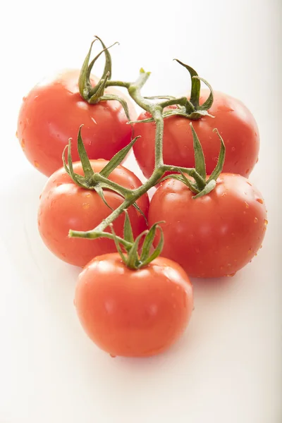 Фото очень свежих помидоров на белом фоне — стоковое фото