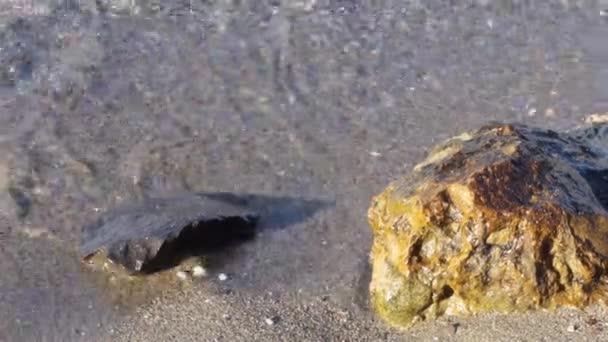 Σερφάρισμα σε κοντινό κύμα. Χοντρή άμμος με μικρά βότσαλα στην ακτή. — Αρχείο Βίντεο