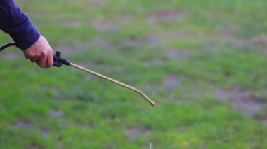 Arka bahçe Haşere Kontrol Spreyi. Bahçede süzülen küçük bir ağaç