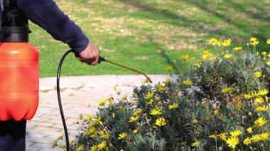 Arka bahçe Haşere Kontrol Spreyi. Bahçede süzülen küçük bir ağaç