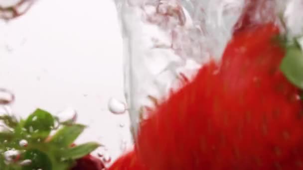 하얀 배경에 기포가 있는 딸기가 물 속으로 떨어집니다. 신선 한 열매들이 물에 있습니다. 유기농 베리, 과일, 건강에 좋은 음식. 느린 동작. — 비디오