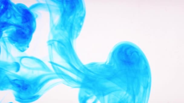 Blauwe inkt lost op in water op witte achtergrond — Stockvideo