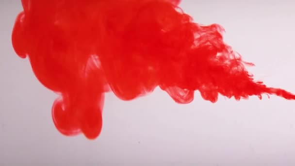 Rood Kleur verf druppels in water, druppel van rode inkt kleur vallen op water Kleurrijke inkt , — Stockvideo