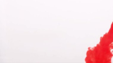 Beyaz arka planda köpüklerle suya düşen çilek. Suda taze meyveler. Organik böğürtlen, meyve, sağlıklı yemek. Yavaş çekim.