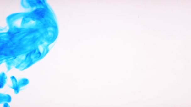 Blauwe inkt lost op in water op witte achtergrond — Stockvideo