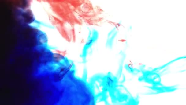 Sovrapposizione di nuvole d'inchiostro. Un'esplosione di colore. blu, movimento fumo rosso su sfondo bianco per l'editing video. — Video Stock