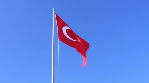 Turkiet flagga vinka i vinden — Stockvideo
