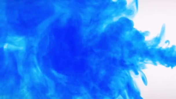 Blaue Tinte löst sich in Wasser auf weißem Hintergrund — Stockvideo