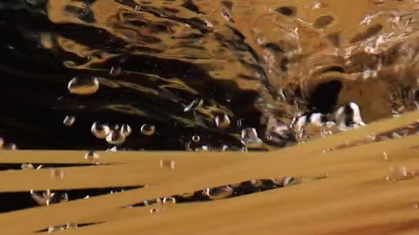 Cocina tradicional italiana a cámara lenta Lanzamiento de pasta de espagueti en el agua sobre fondo negro — Vídeos de Stock