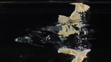 Geleneksel İtalyan mutfağı ağır çekimde farfalle makarnası suya düşüyor siyah arka planda uçan kelebekler gibi.