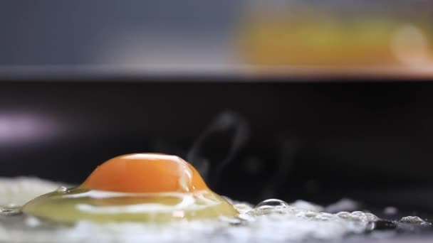 Fritura de ovo em uma frigideira de panela. Cozinhar. Close-up — Vídeo de Stock
