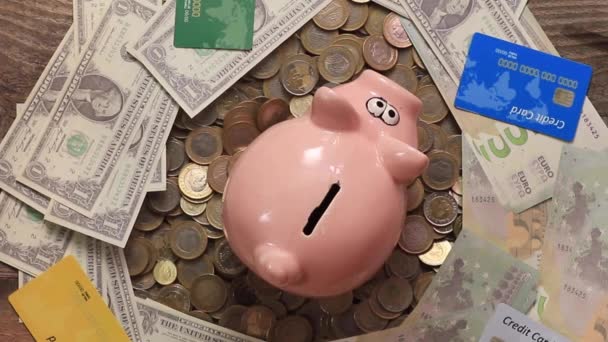 Bisnis piggy bank berdiri di atas tumpukan konsep koin. Tangan adalah meletakkan koin di celengan gaya hidup. menabung adalah investasi untuk masa depan. — Stok Video