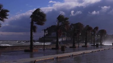 Fırtına sırasında dev dalgalar deniz duvarına çarpar.