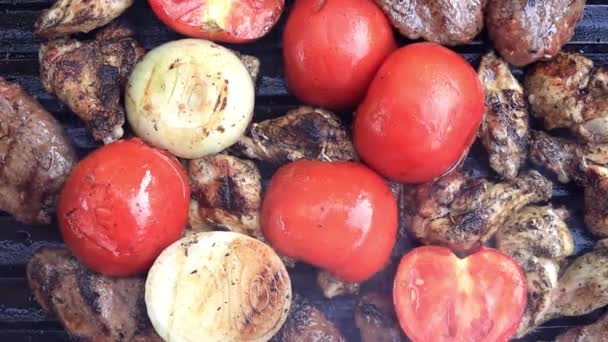 Барбекю-вечеринка. Приготовление вкусного мяса на открытом угольном гриле — стоковое видео