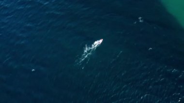 Ege Denizi 'nde rüzgar sörfü yapan bir adamın hava aracı görüntüsü. Şeffaf su.