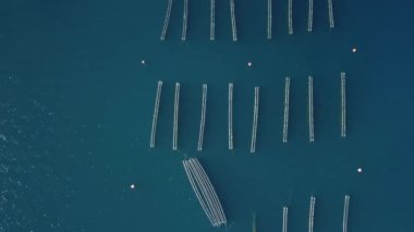 Havadan Su Kültürü Balık Çiftliği. boş