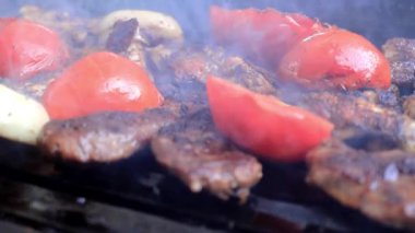 Barbekü partisi. Açık kömür ızgarasında leziz et pişiriyorum.