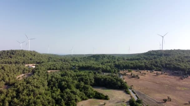 Sonnige Weinfelder in Urla, Türkei — Stockvideo