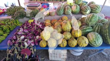 Tarım akıllı tarım teknolojisi - sanayi 4.0 Teknoloji ile hasat ve ekim ve akıllı çiftçilik kavramı. - Evet. Yüksek kalite 4k görüntü