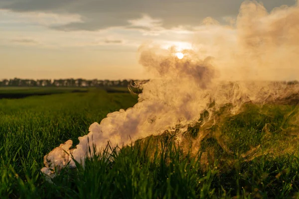 Humo Blanco Hierba Contra Sol Tarde Hora Dorada Atardecer Imagen de stock