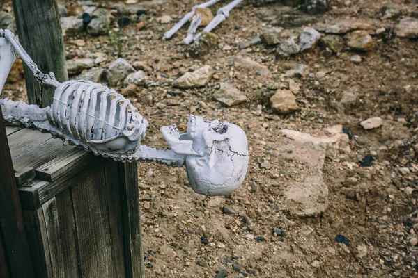 Blick Auf Ein Halbes Skelett Einem Archäologischen Gebiet Mit Dreck — Stockfoto