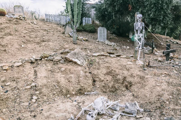 Reprezentacja Szkieletami Cmentarzu Grobami Ziemią Pochmurny Dzień — Zdjęcie stockowe