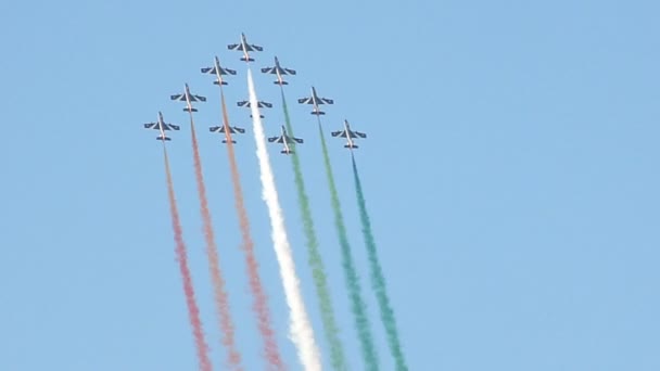 French Aerobatic Team Display — Stockvideo