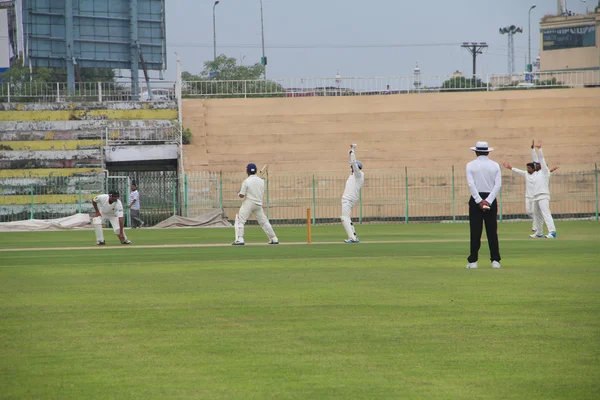 Hráči v poli přitažlivý pro Lbw — Stock fotografie