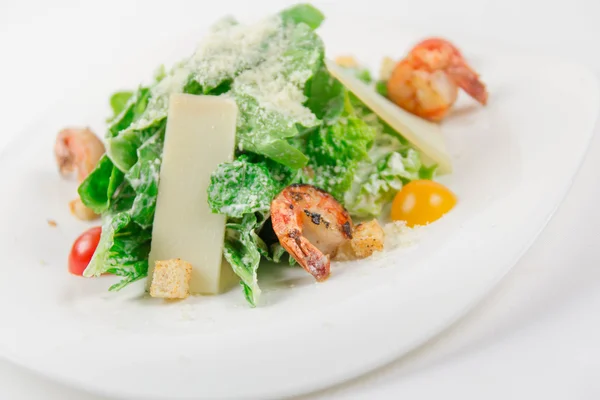 Caesar salad with shrimps, tomato, cheese and crumbs — Stock Photo, Image