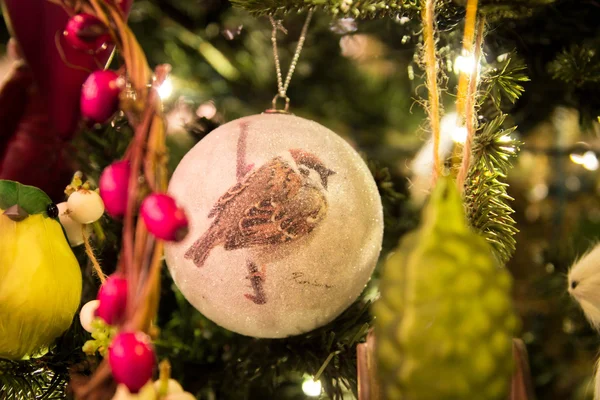 Christmas toy with a picture of bird on it on the christmas tree — Stock Photo, Image