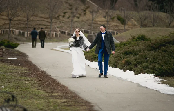 Recién casados caminando por la carretera en el parque de invierno — Foto de Stock