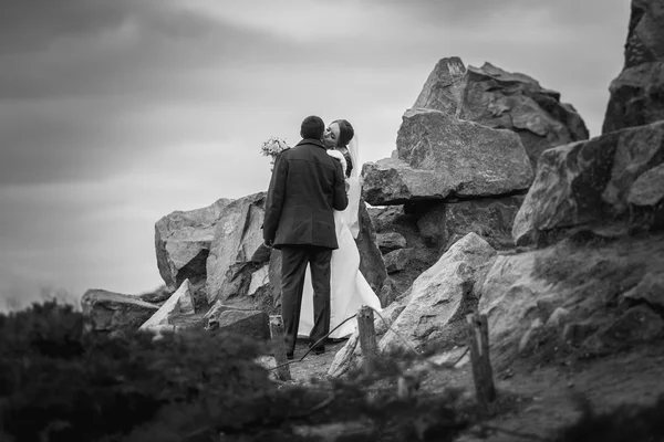 Foto en blanco y negro de la novia y el novio besándose en la parte superior del montaje — Foto de Stock