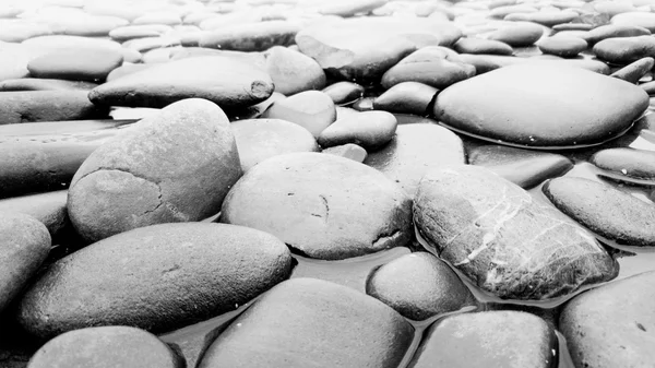 Primer plano foto en blanco y negro de piedras en el río — Foto de Stock