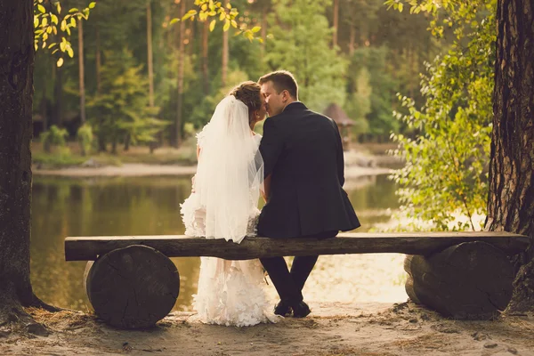 Vista trasera de los recién casados besándose en el banco en el río — Foto de Stock