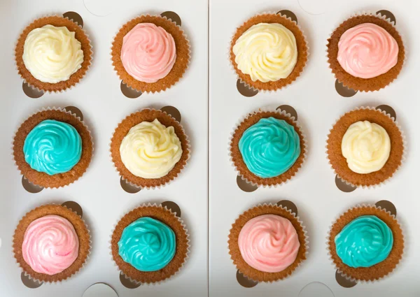 Blick von oben auf blaue, rosa und weiße frisch gebackene Cupcakes — Stockfoto