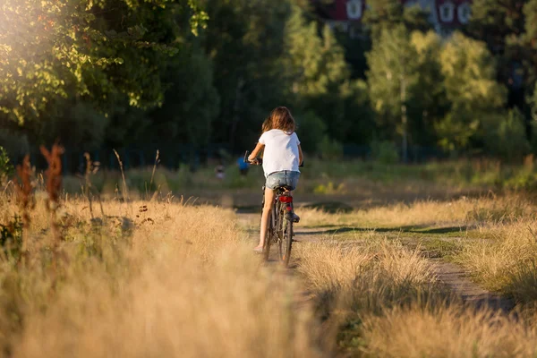 Imagen tonificada de una mujer cabalgando en bicicleta en el prado — Foto de Stock