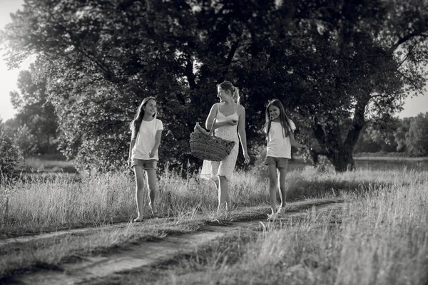 Черно-белый образ матери с дочерьми, гуляющими по лугу — стоковое фото