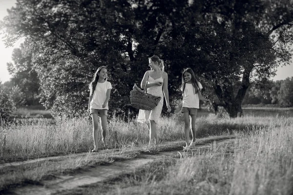 Imagen en blanco y negro de la madre con hijas caminando en el prado —  Fotos de Stock