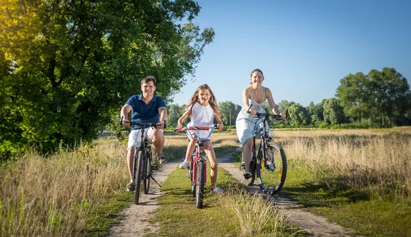 Joven familia montando en bicicleta en el prado. Concepto de familia spo — Foto de Stock