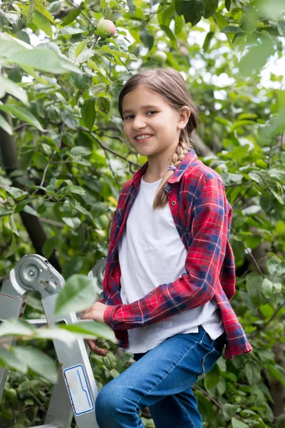 Portrait de fille de 10 ans debout sur le dessus de l'escabeau à ou — Photo